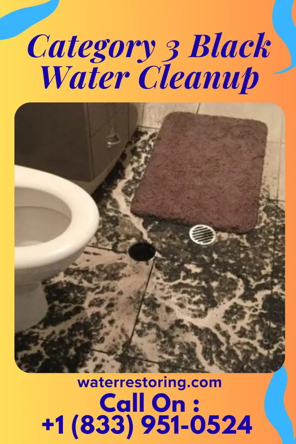 Category 3 Black Water Cleanup in Neosho, WI