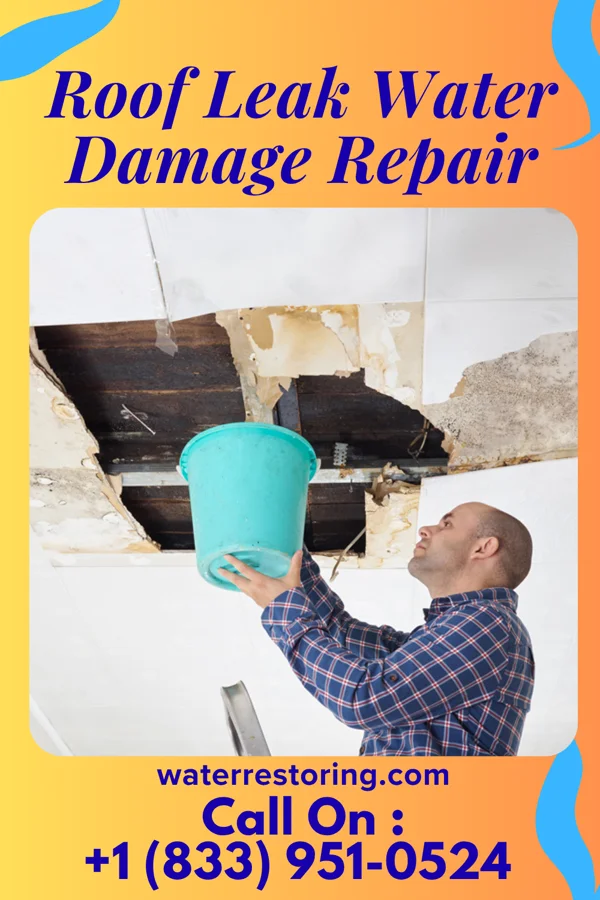 Roof Leak Water Damage Repair in Neosho, WI
