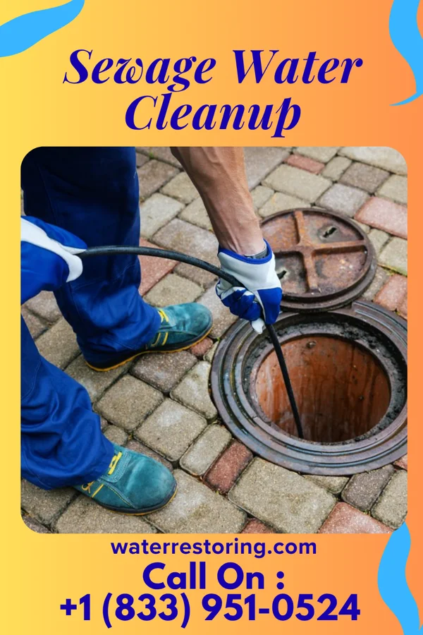 Sewage Water Cleanup in Neosho, WI