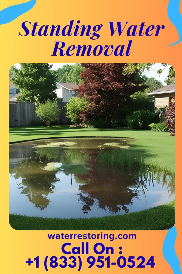 Standing Water Removal in Neosho, WI